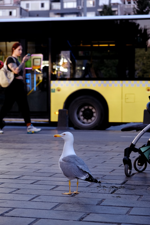 Belediye Şoförü Maaşları 2026
